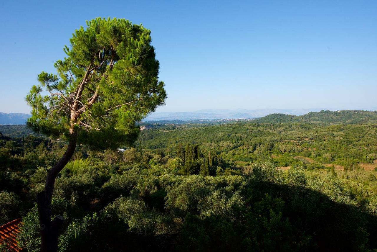 Aurora Apartment Corfu Pelekas Ngoại thất bức ảnh
